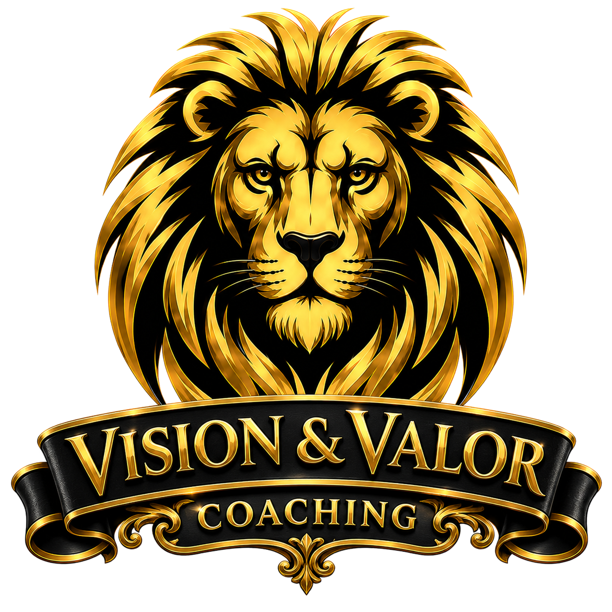 Vision and Valor Coaching